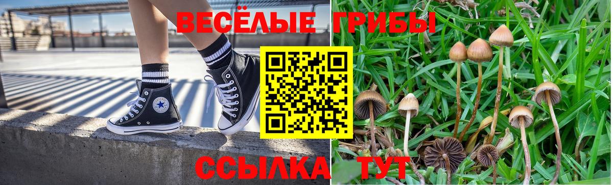 Майский  Псилоцибиновые грибы Magic Shrooms  Вход с VPN 