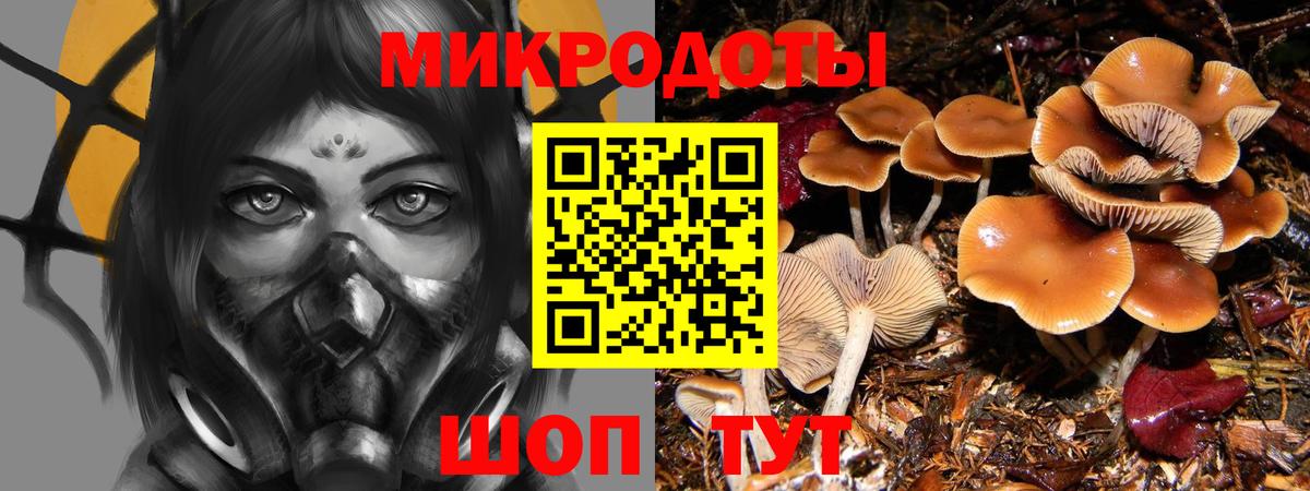 Псилоцибиновые грибы Psilocybine cubensis Майский